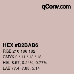 Color code: HEX #D2BAB6 | qconv.com