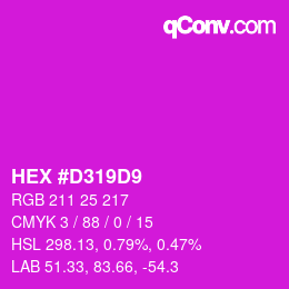 Color code: HEX #D319D9 | qconv.com
