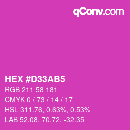 Color code: HEX #D33AB5 | qconv.com