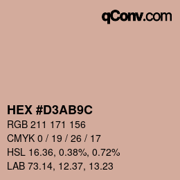 Color code: HEX #D3AB9C | qconv.com