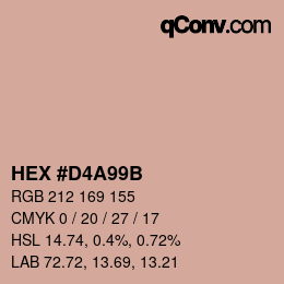 Color code: HEX #D4A99B | qconv.com