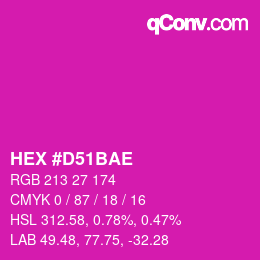 Color code: HEX #D51BAE | qconv.com