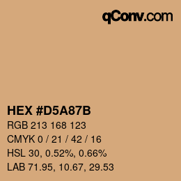 Color code: HEX #D5A87B | qconv.com