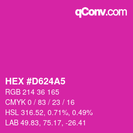 颜色代码: HEX #D624A5 | qconv.com