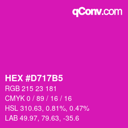 Color code: HEX #D717B5 | qconv.com