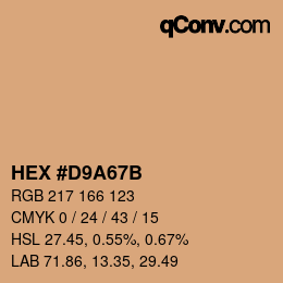 Color code: HEX #D9A67B | qconv.com