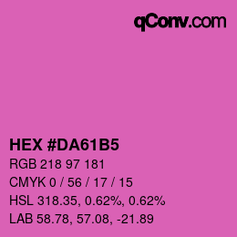 Color code: HEX #DA61B5 | qconv.com