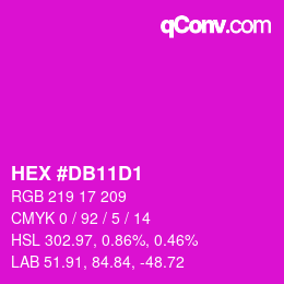 颜色代码: HEX #DB11D1 | qconv.com