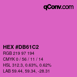 颜色代码: HEX #DB61C2 | qconv.com
