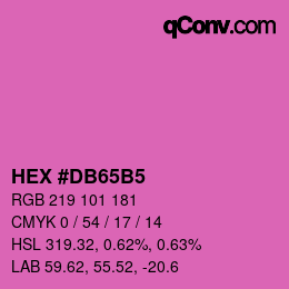 Color code: HEX #DB65B5 | qconv.com