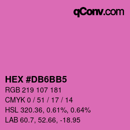Color code: HEX #DB6BB5 | qconv.com