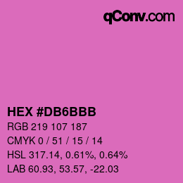 Color code: HEX #DB6BBB | qconv.com