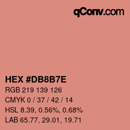 Color code: HEX #DB8B7E | qconv.com