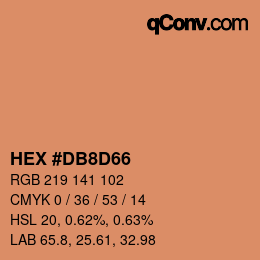 Color code: HEX #DB8D66 | qconv.com