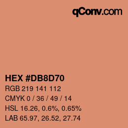 Color code: HEX #DB8D70 | qconv.com