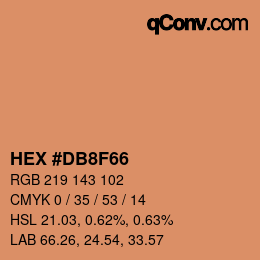 Color code: HEX #DB8F66 | qconv.com