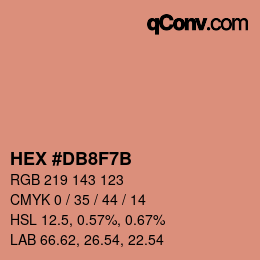 Color code: HEX #DB8F7B | qconv.com