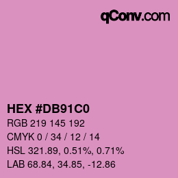 颜色代码: HEX #DB91C0 | qconv.com