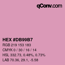 颜色代码: HEX #DB99B7 | qconv.com