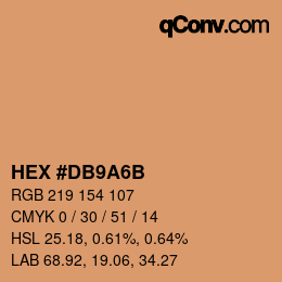 Color code: HEX #DB9A6B | qconv.com