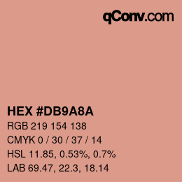 Color code: HEX #DB9A8A | qconv.com