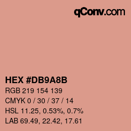 Color code: HEX #DB9A8B | qconv.com