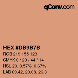 颜色代码: HEX #DB9B7B | qconv.com