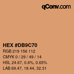 Color code: HEX #DB9C70 | qconv.com