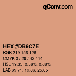 Color code: HEX #DB9C7E | qconv.com