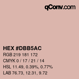 Color code: HEX #DBB5AC | qconv.com