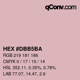 Color code: HEX #DBB5BA | qconv.com