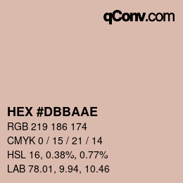 Color code: HEX #DBBAAE | qconv.com