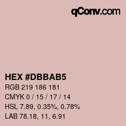 Color code: HEX #DBBAB5 | qconv.com