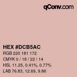 Color code: HEX #DCB5AC | qconv.com