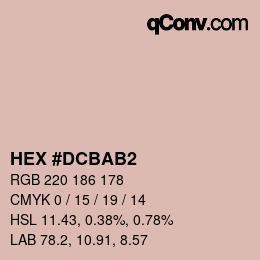 颜色代码: HEX #DCBAB2 | qconv.com
