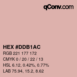 颜色代码: HEX #DDB1AC | qconv.com