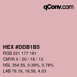 颜色代码: HEX #DDB1B5 | qconv.com