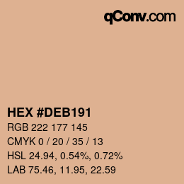 Color code: HEX #DEB191 | qconv.com