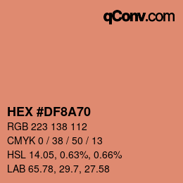 Color code: HEX #DF8A70 | qconv.com