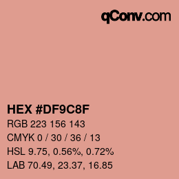 Color code: HEX #DF9C8F | qconv.com