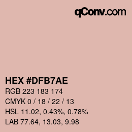 Color code: HEX #DFB7AE | qconv.com