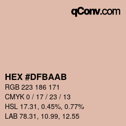Color code: HEX #DFBAAB | qconv.com