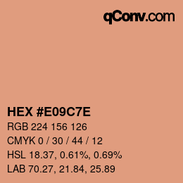 Color code: HEX #E09C7E | qconv.com