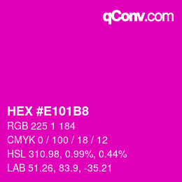 颜色代码: HEX #E101B8 | qconv.com