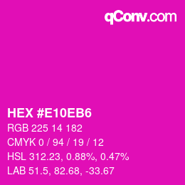 カラーコード: HEX #E10EB6 | qconv.com