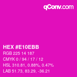 Color code: HEX #E10EBB | qconv.com