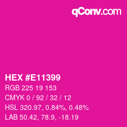 Color code: HEX #E11399 | qconv.com