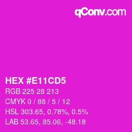 Farbcode: HEX #E11CD5 | qconv.com