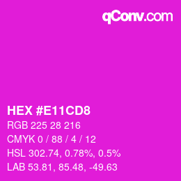 Farbcode: HEX #E11CD8 | qconv.com