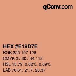 Color code: HEX #E19D7E | qconv.com